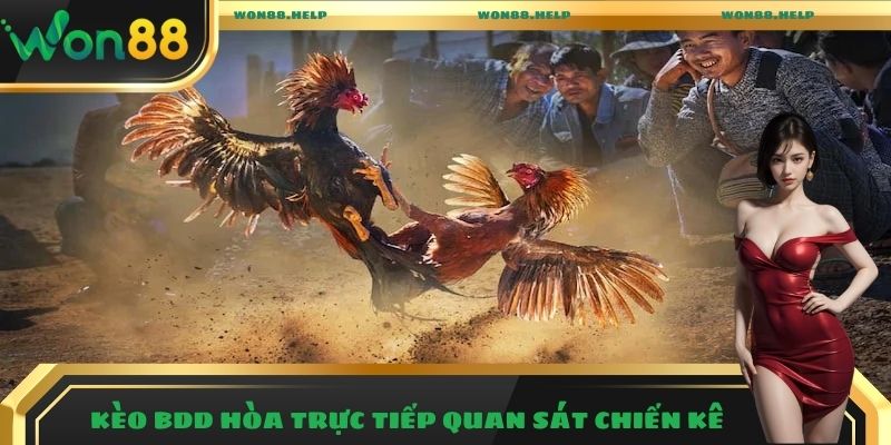 Kèo BDD hòa trực tiếp quan sát chiến kê