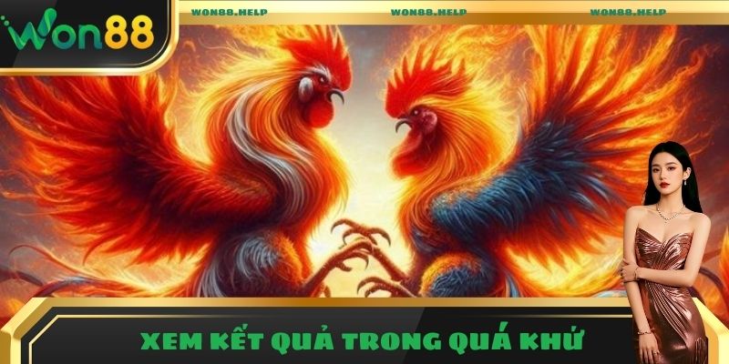 Bỏ Túi Mẹo Soi Kèo Đá Gà Chuẩn Từ Phía Cao Thủ Won88 3 Soi kèo nhận định từ kết quả trong quá khứ