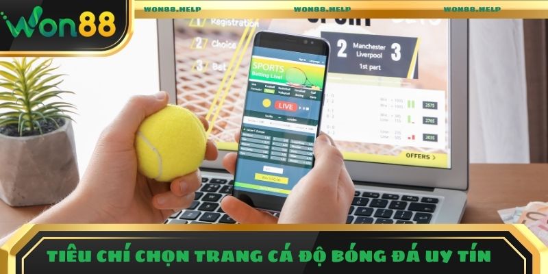 Trang Cá Độ Bóng Đá Uy Tín - Top Điểm Đến Nổi Bật Trong 2025 3 Tiêu chí chọn lựa trang cá độ bóng đá uy tín